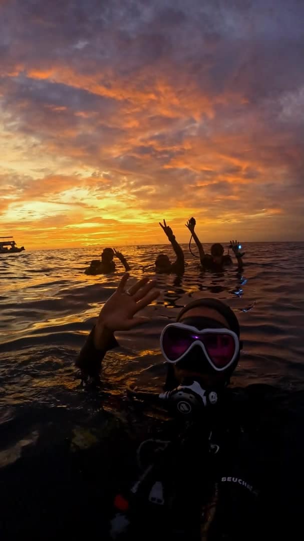Dive adventure Koh Tao