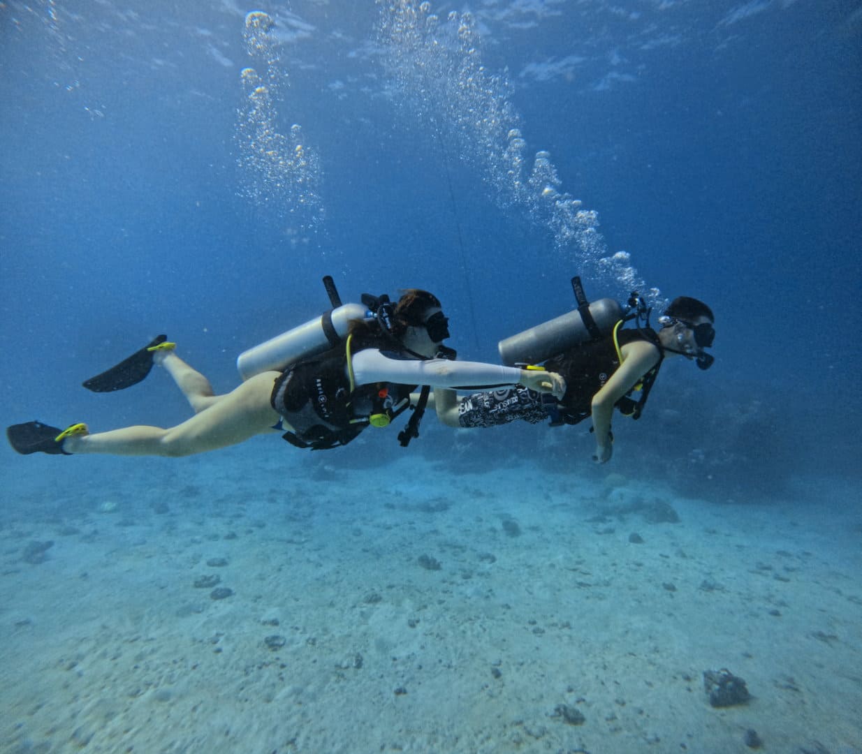 Plongée débutant Koh Tao