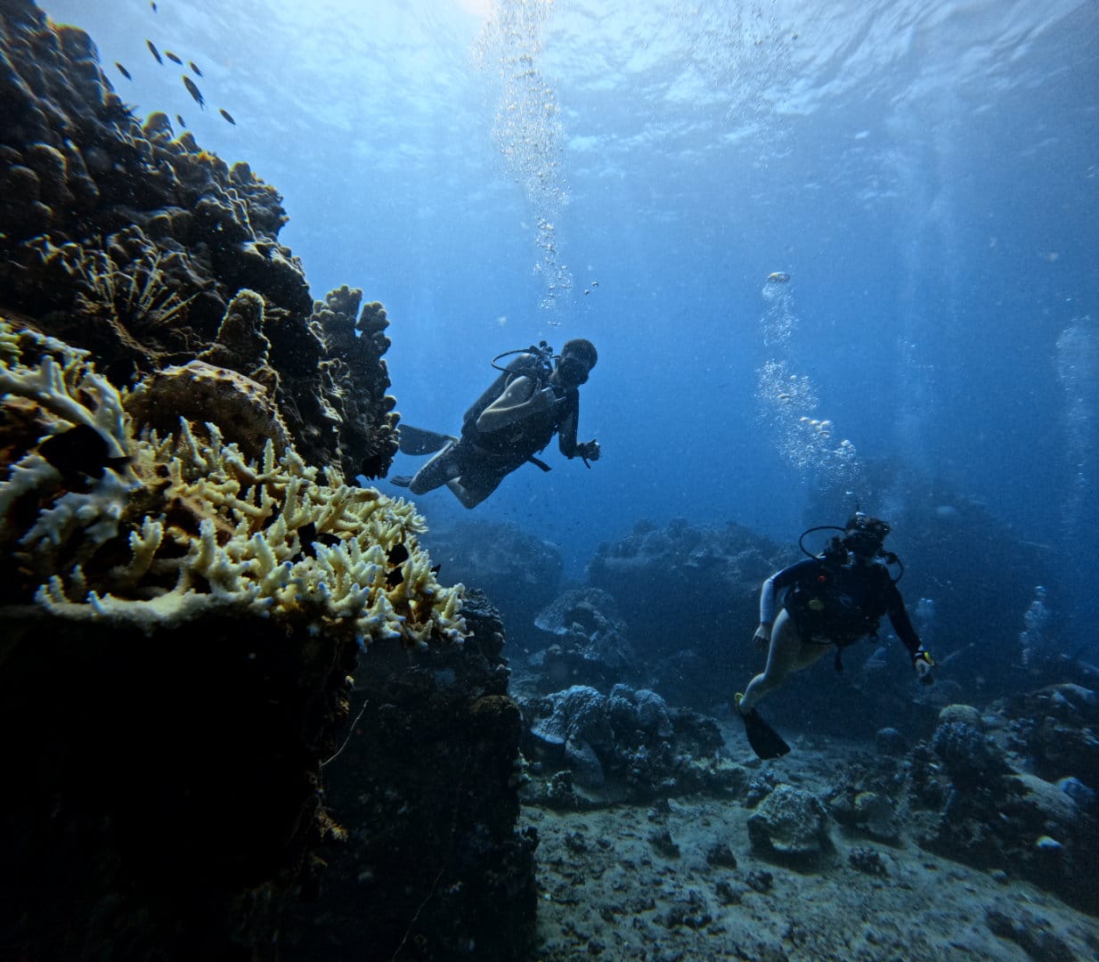 Apprendre à plonger Koh Tao